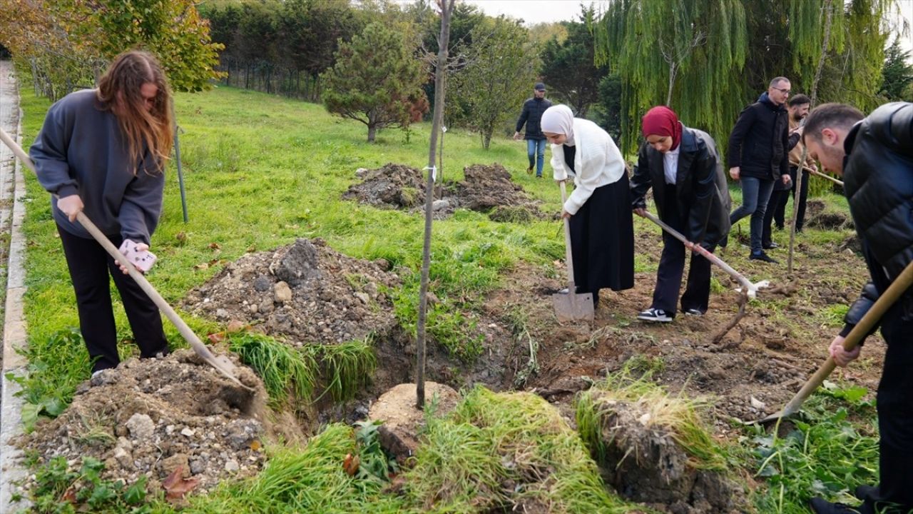 İstanbul Üniversitesi-Cerrahpaşa'dan Ağaçlandırma Etkinliği