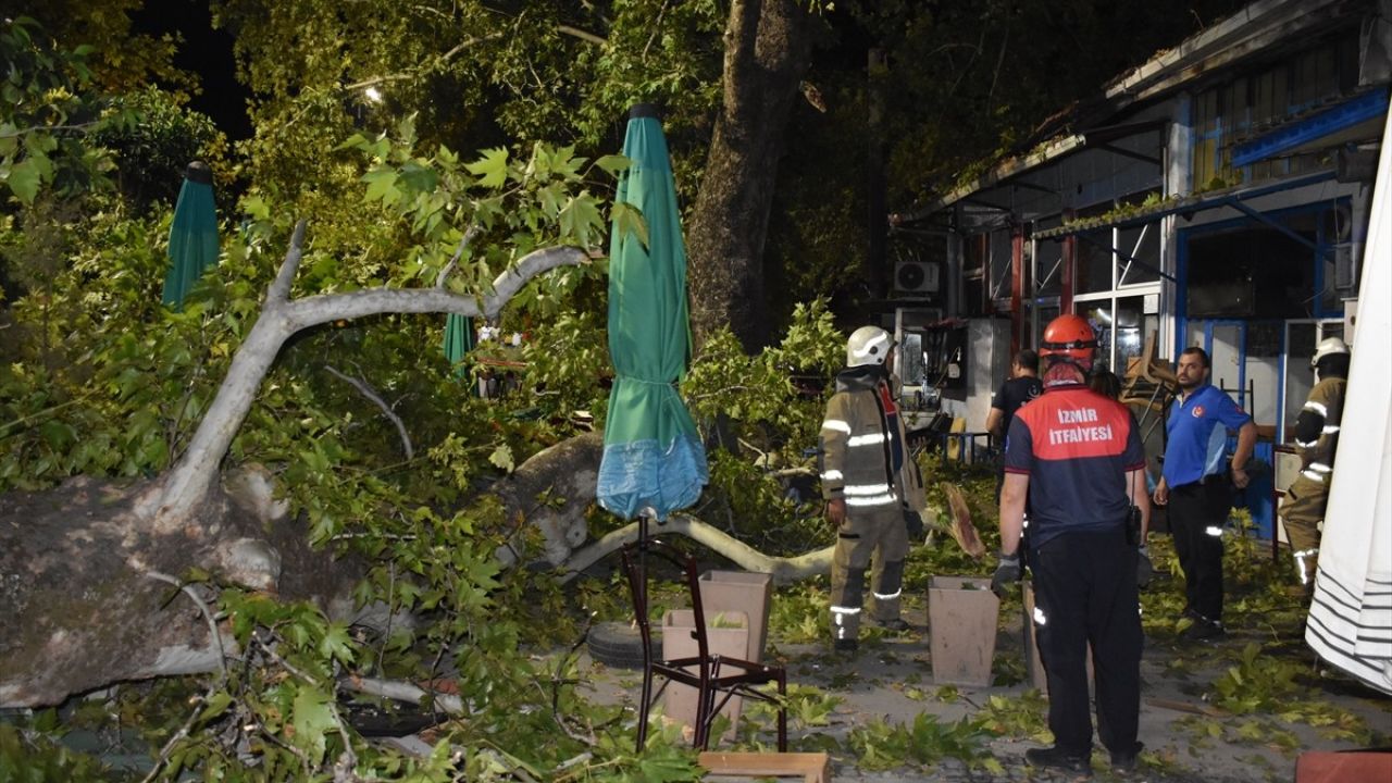 İzmir'de Asırlık Çınar Ağacının Dalları, 9 Kişiyi Yaraladı