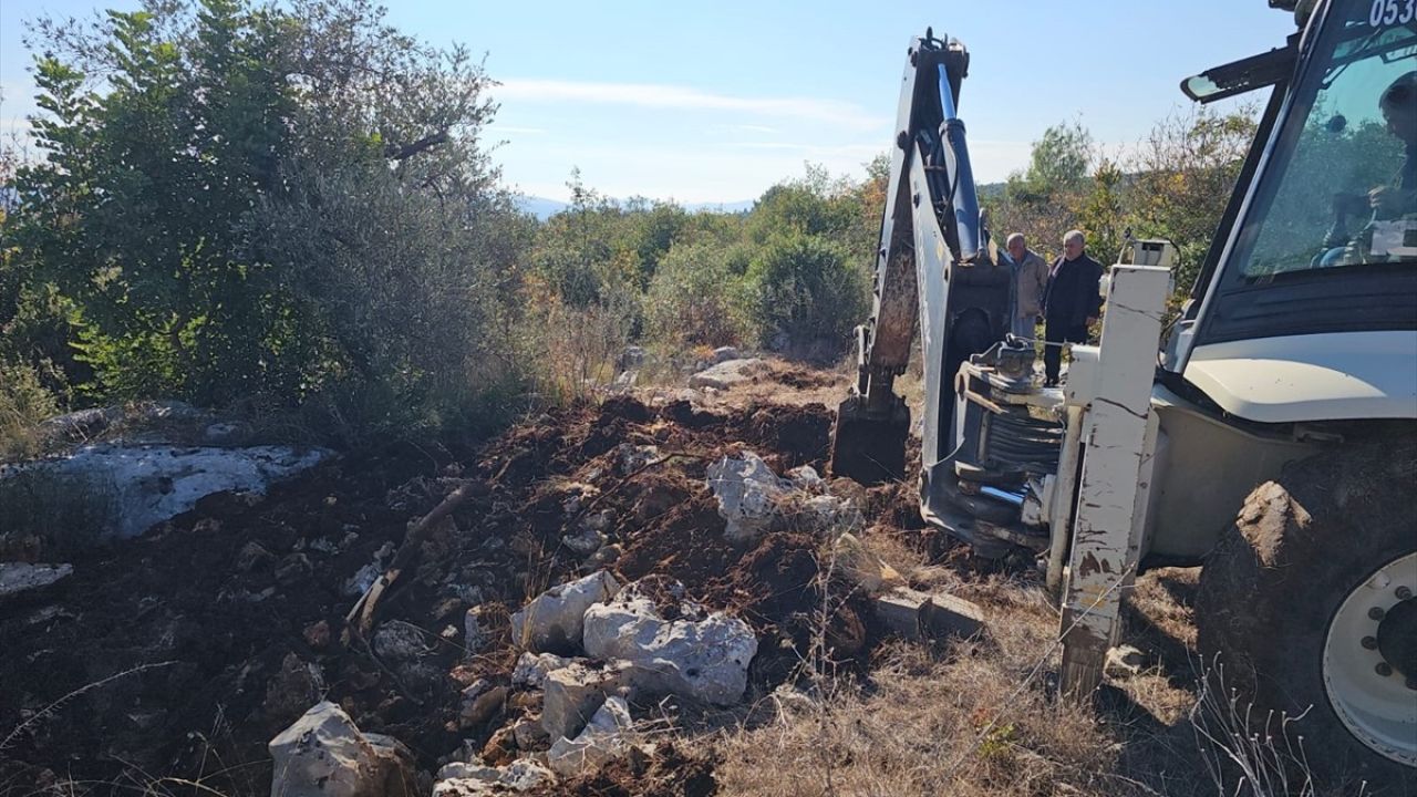 Mersin'de Yem Tedarikinde Aksamalar Tavukları Tehdit Ediyor