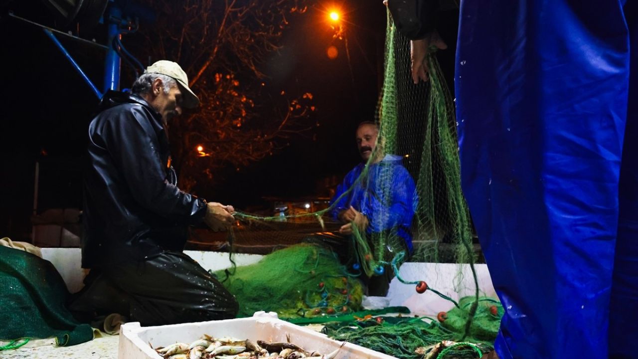 Sakarya'da Tekir Balığı Bereketi