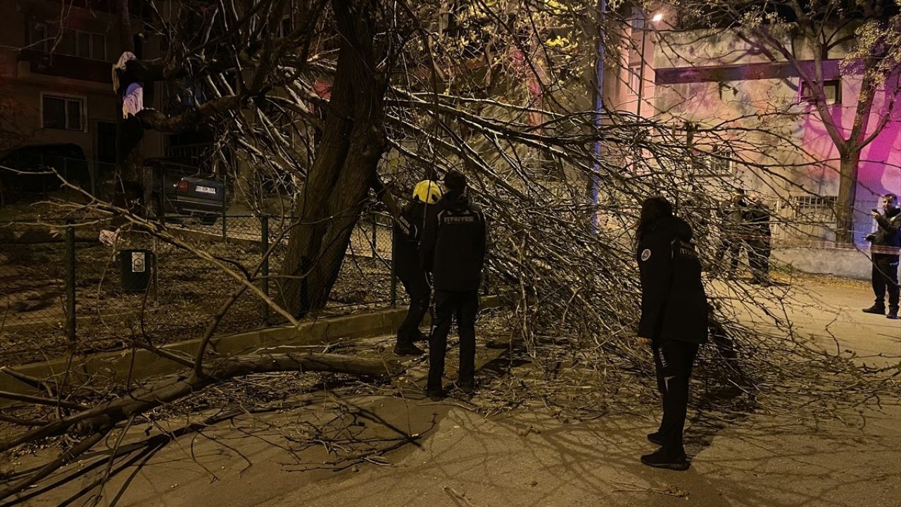 Bursa'da Fırtına Hasara Yol Açtı