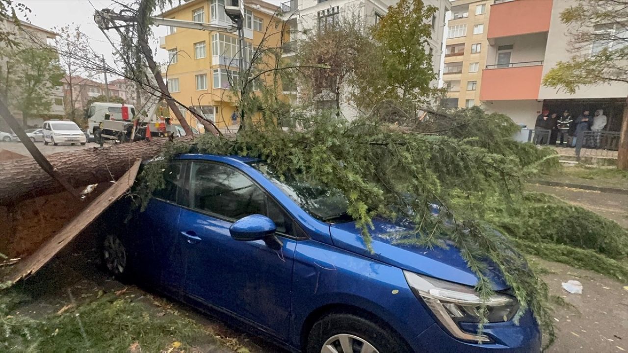 Kartal'da Şiddetli Rüzgar Ağaç Devrildi