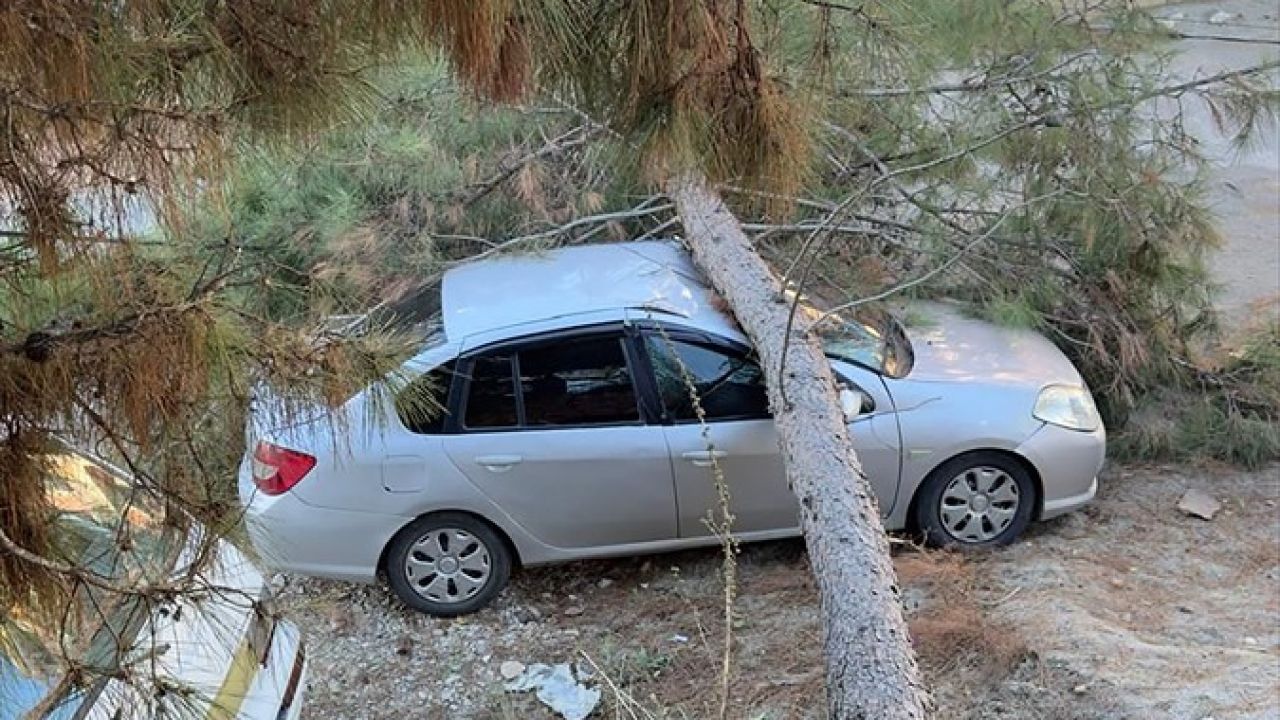 Alanya'da Fırtına: Evler ve Seralarda Zarar