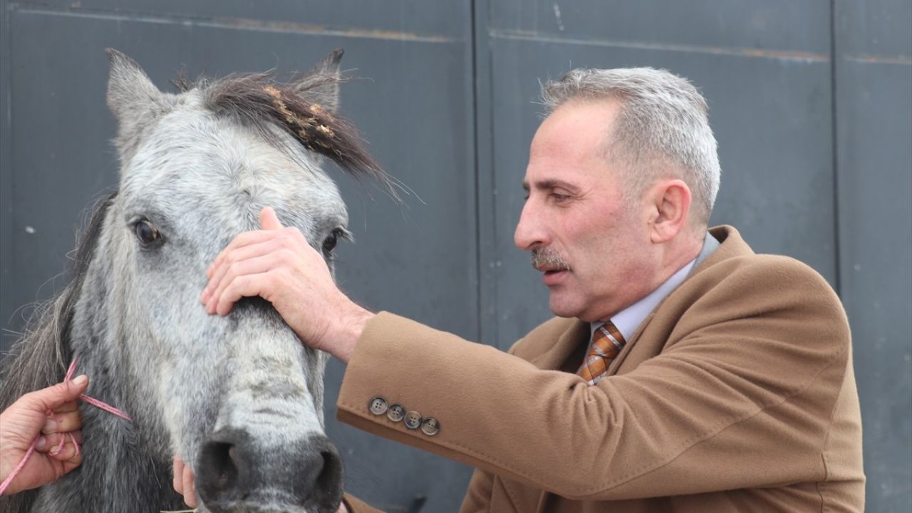 Erzurum'da Sosyal Medya Yanıltması: 'Dondu' denilen Atın Kırık Ayağı Var