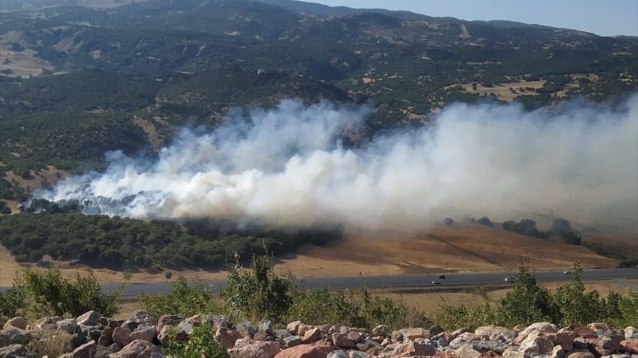 Bingöl'de Orman Yangınları Kontrol Altına Alındı