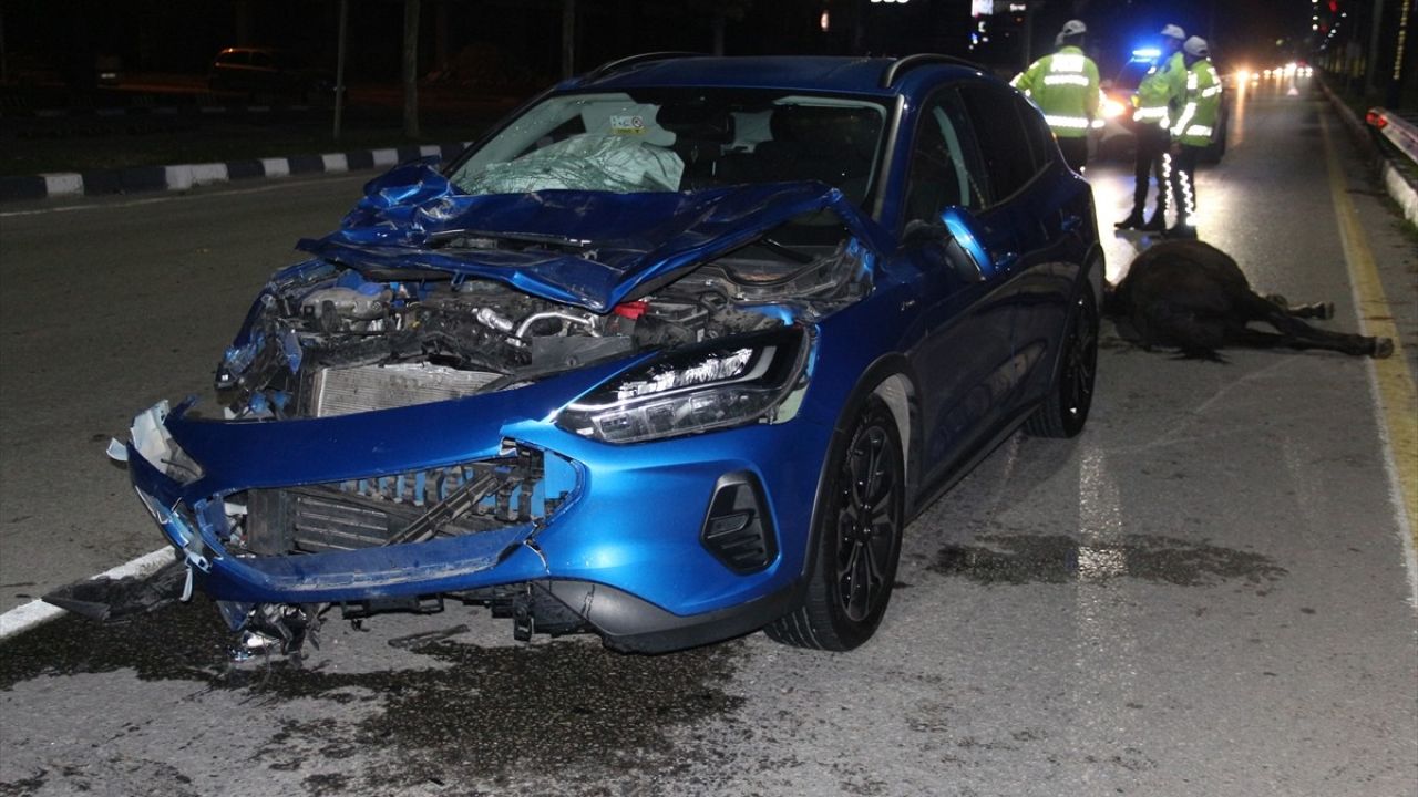 Manisa'da Ata Çarpan Otomobilde 3 Yaralı