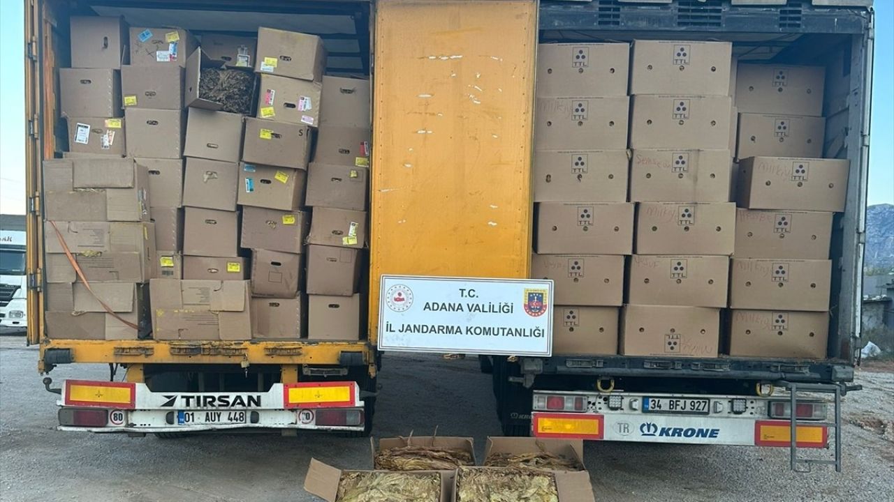 Adana'da 23 Ton Kaçak Tütün Ele Geçirildi