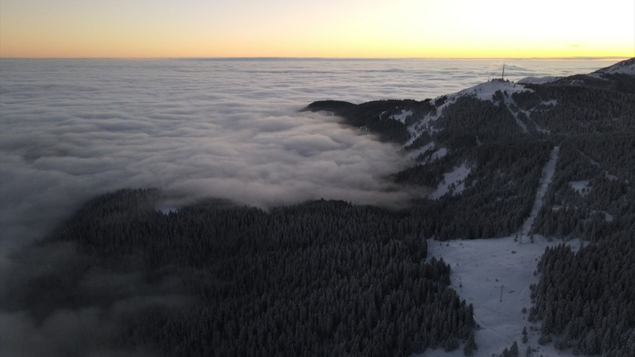 Ilgaz Dağı'nın Sıcaklık ve Sis Manzarası