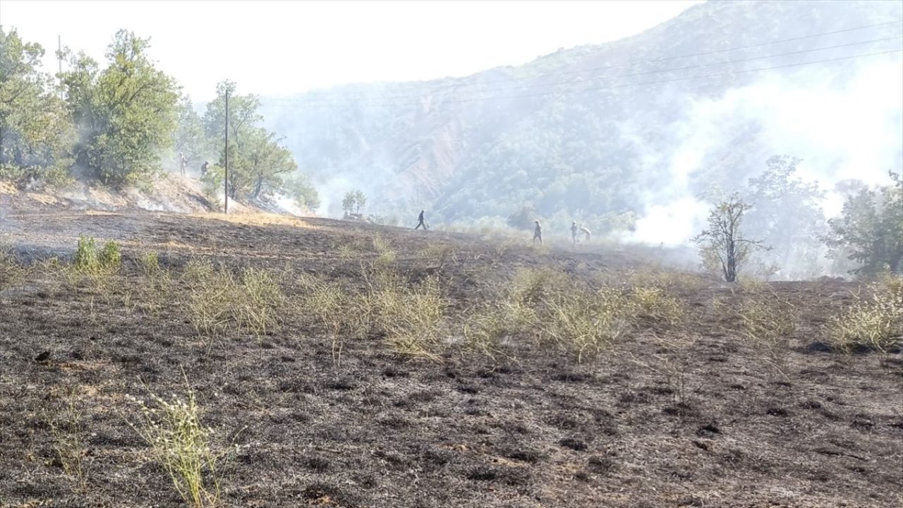 Tunceli'de Yangınla Mücadele Başlatıldı