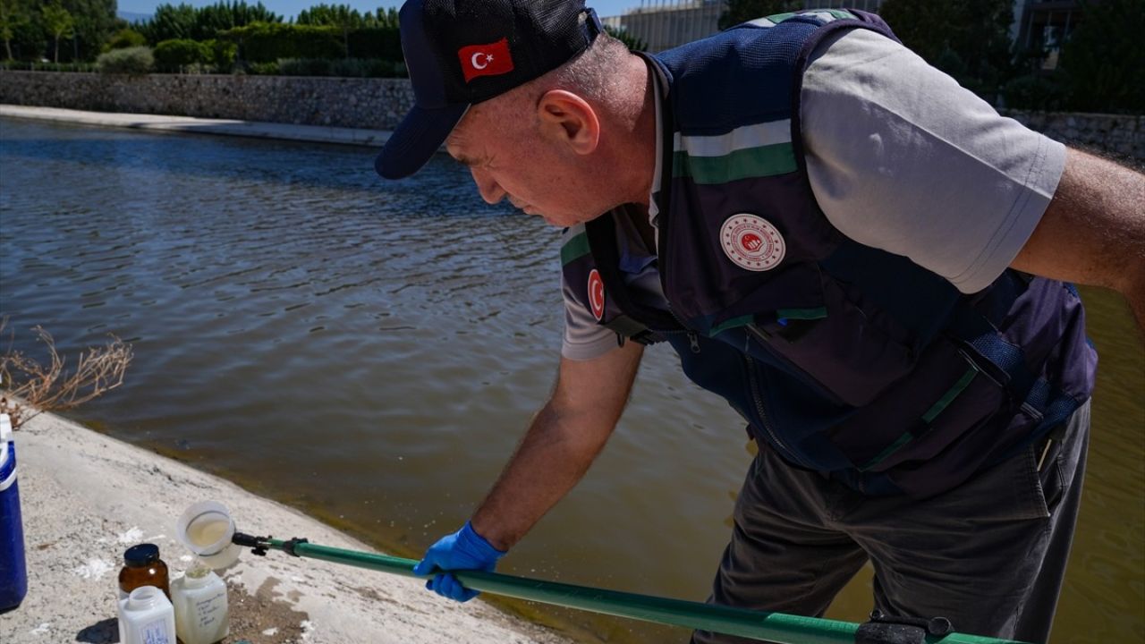 İzmir Körfezi'nde Balık Ölümleri Üzerine Denetim Çalışmaları Başlatıldı