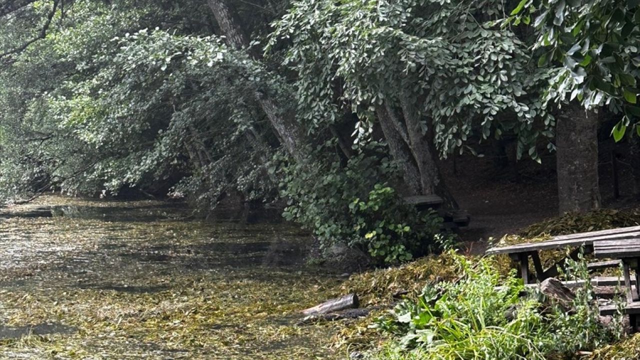 Yedigöller Milli Parkı'nda Göl Temizliği