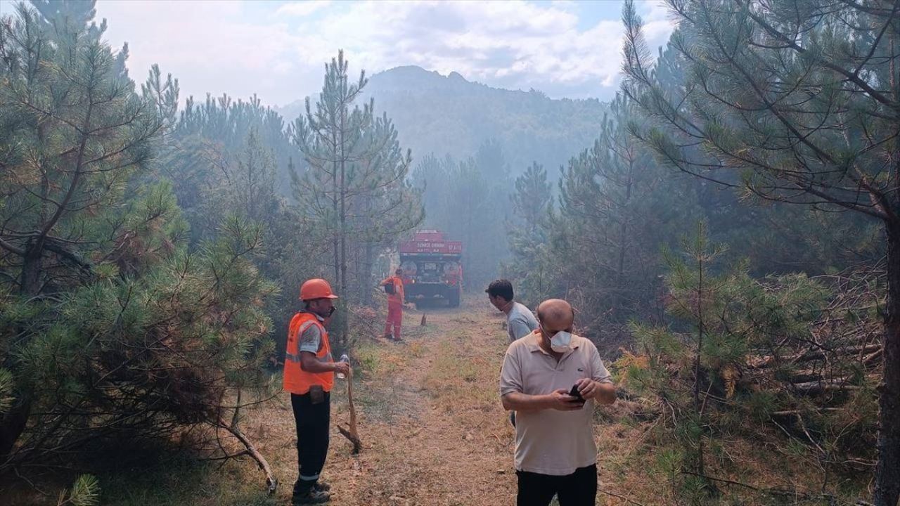 Zonguldak'ta Orman Yangını Kontrol Altına Alındı