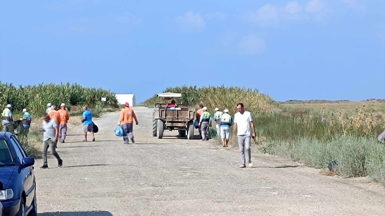 Mileyha Sulak Alanı'nda Temizlik Çalışması