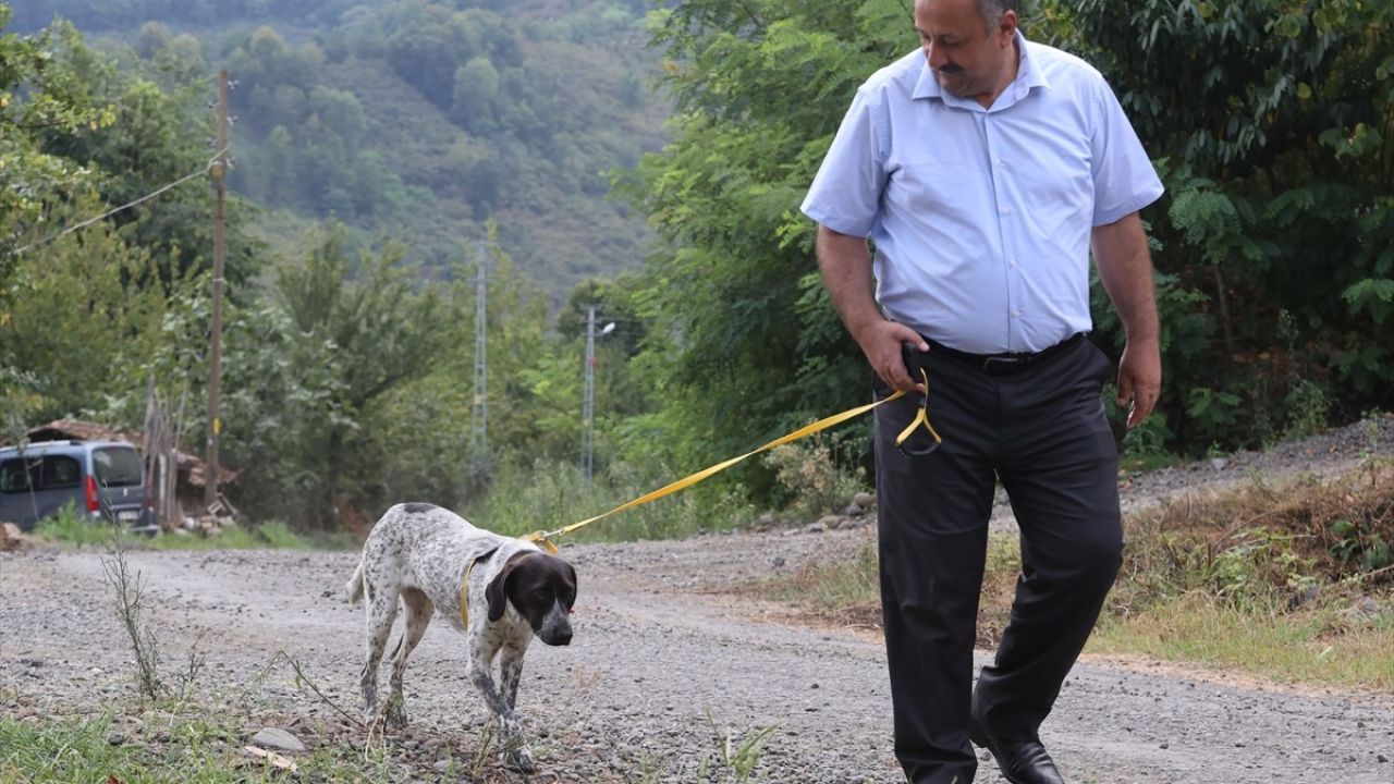 Salıpazarı Belediye Başkanı'ndan Hayvan Sahiplenme Örneği