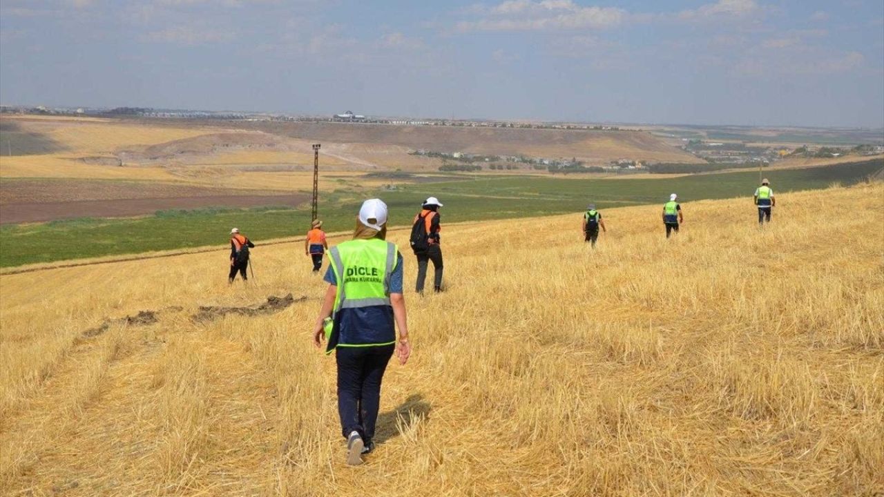 Dicle Elektrik Ekipleri, Kaybolan Narin için Seferber Oldu