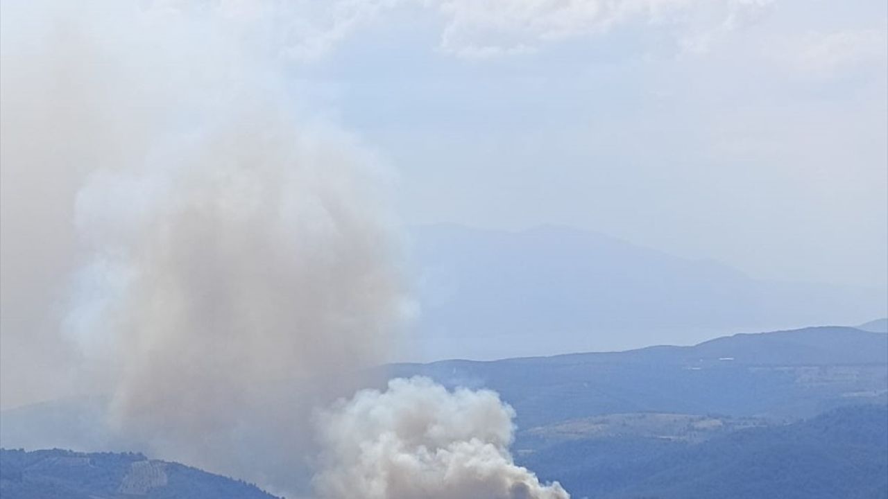 Bursa'nın İznik İlçesinde Orman Yangınına Müdahale Başlatıldı