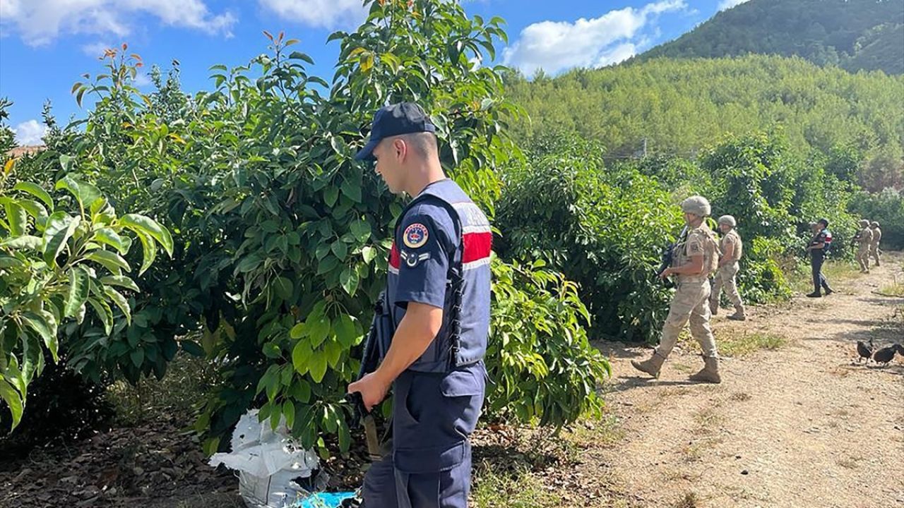 Alanya'da Tropikal Meyve Hırsızlığına Karşı Jandarmadan Denetim