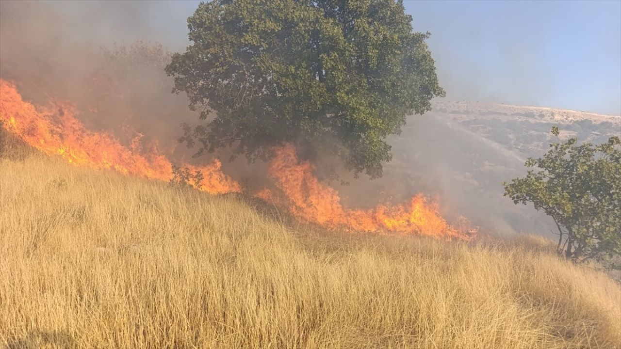Tunceli'de Otluk Alanda Yangın Kontrol Altına Alındı