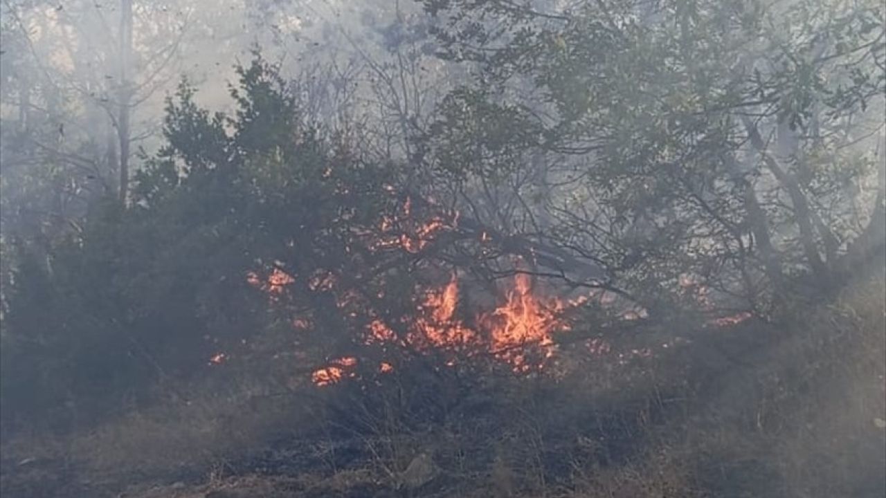 Tunceli'deki Orman Yangınına Müdahale Devam Ediyor