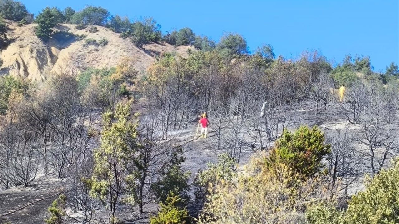 Amasya'daki Orman Yangını Kontrol Altına Alındı