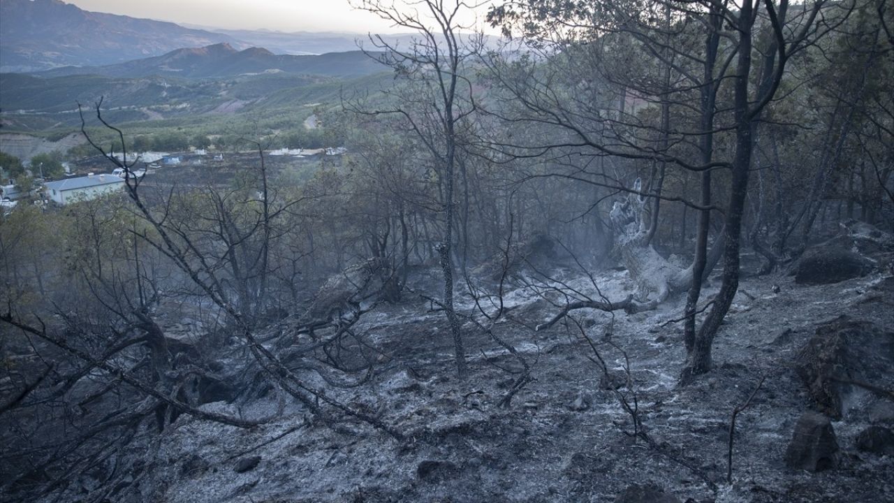 Tunceli'de Orman Yangını Kontrol Altına Alındı