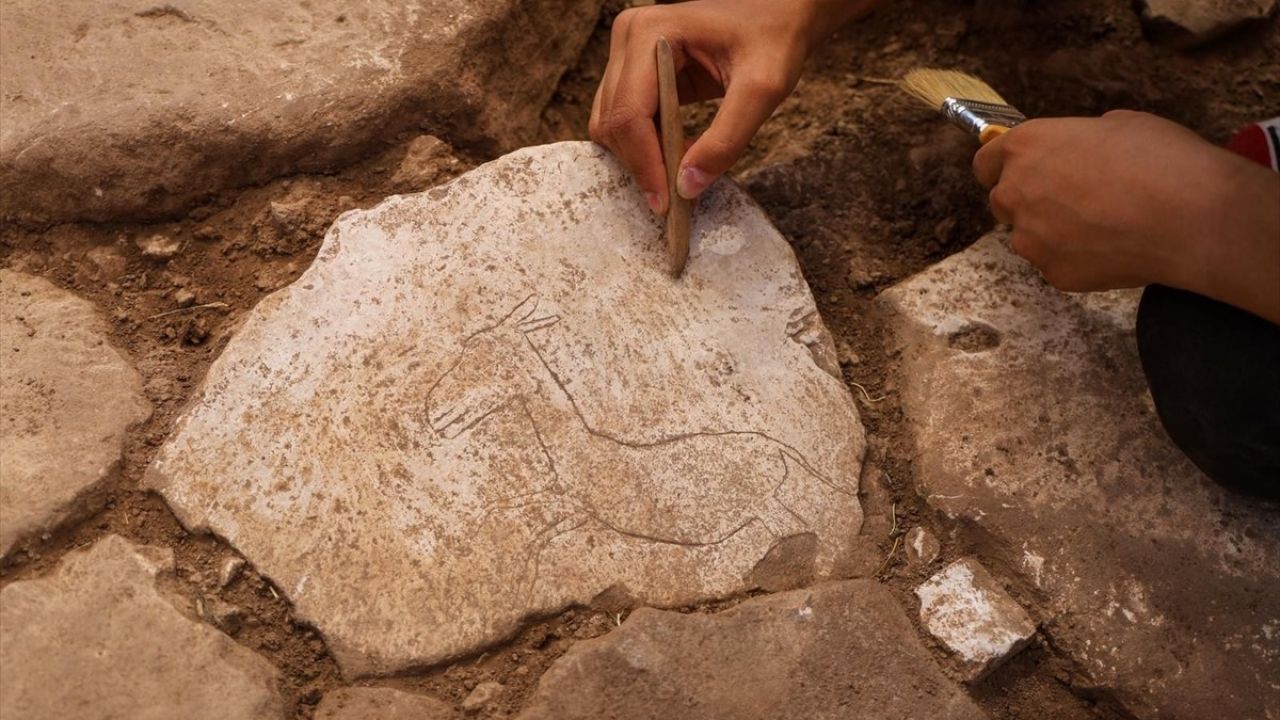 Karahantepe'de Nadir Yaban Eşeği Figürü Bulundu