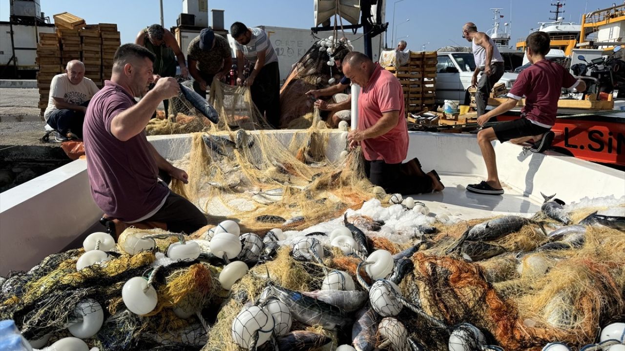 Sinop'ta Balıkçılar Av Sezonuna 500 Kasa Palamutla Başladı