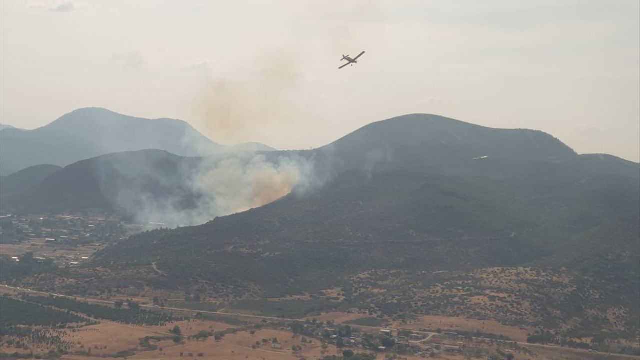 İzmir Menderes'te Orman Yangını Kontrol Altına Alındı