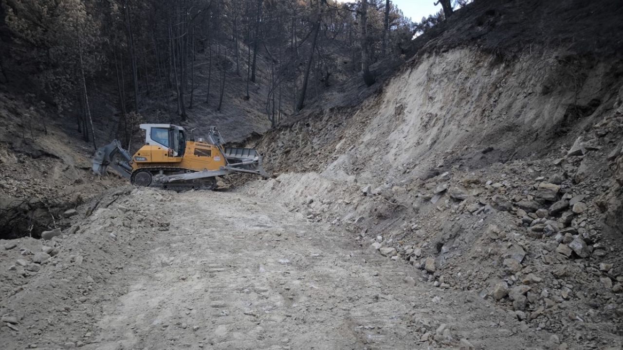 Bolu'nun Göynük İlçesinde Yangın Sonrası Ağaçlandırma Çalışmaları Başladı