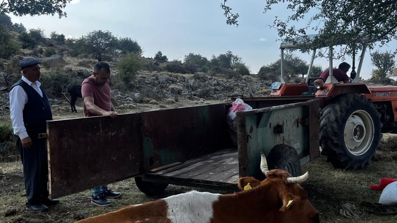 Afyonkarahisar'da Eğimli Araziden Yuvarlanan İnek Kurtarıldı