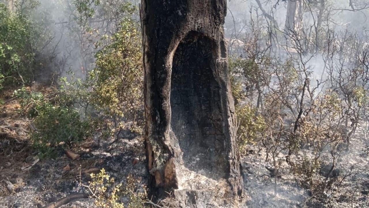 Burdur'daki Orman Yangını Kontrol Altına Alındı