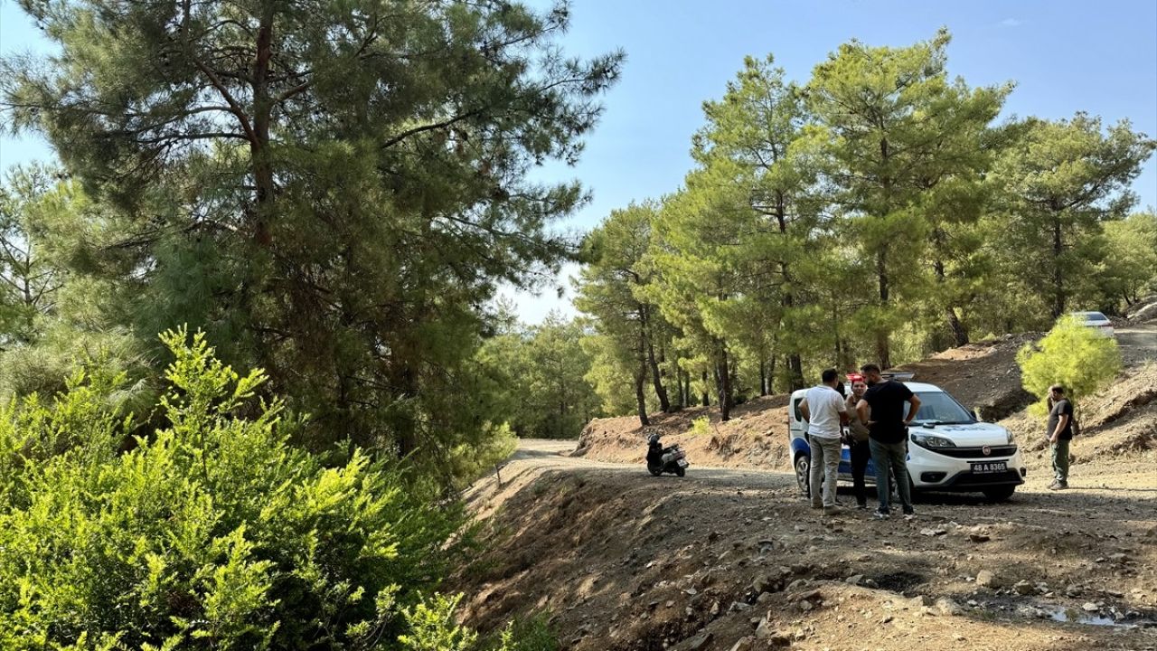 Muğla'da Ormanlık Alanda Terk Edilen Bebek Bulundu