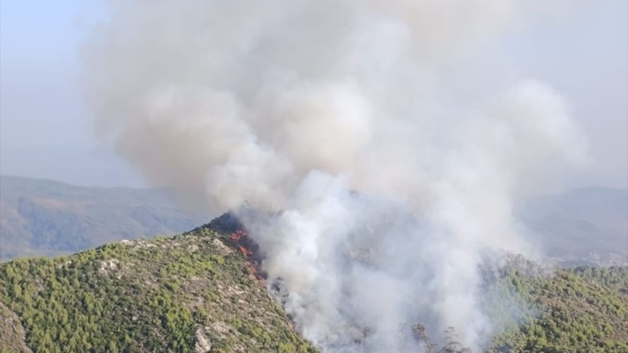 Milas'ta Orman Yangınına Hızla Müdahale Ediliyor