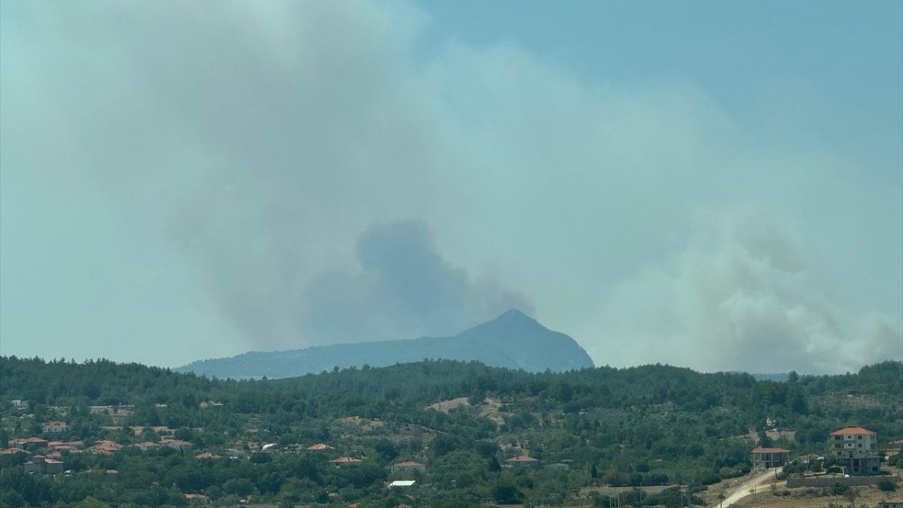 Muğla'daki Orman Yangınına Hızla Müdahale Ediliyor