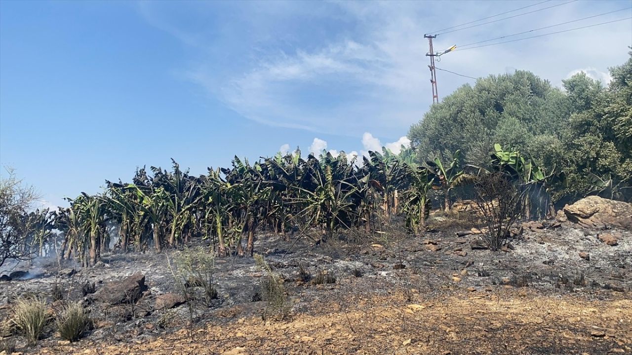 Antalya'da Yangın Paniği: Öğrenciler Tahliye Edildi