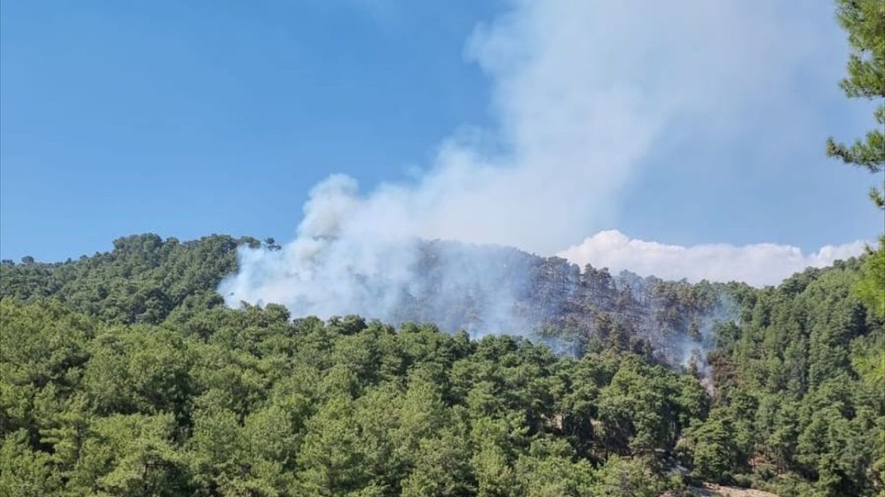 Kaş'ta Yangınla İlgili Gözaltı Serbest Bırakıldı