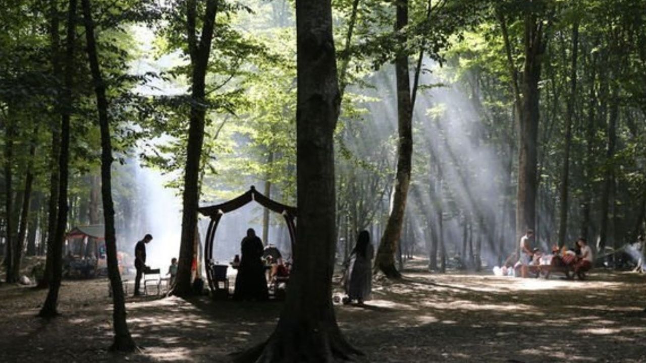 İstanbul Valiliği, ormanlık alanlara girişleri yasakladı!