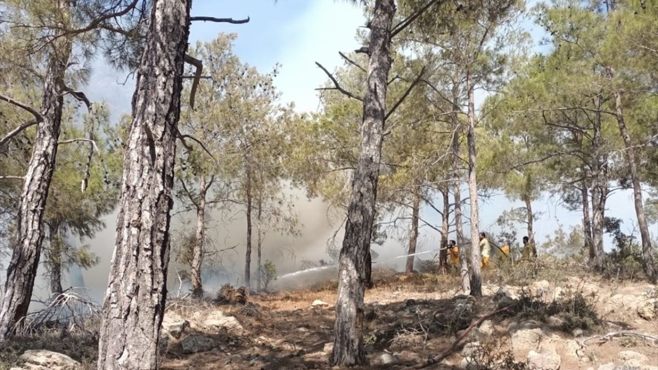 Mersin'de Orman Yangını Kontrol Altına Alındı