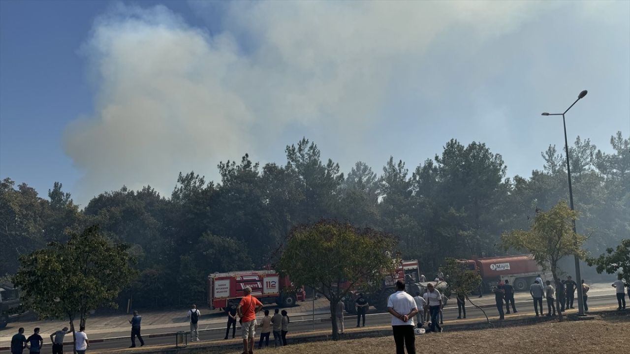 Ondokuz Mayıs Üniversitesi'nde Yangın Kontrol Altında