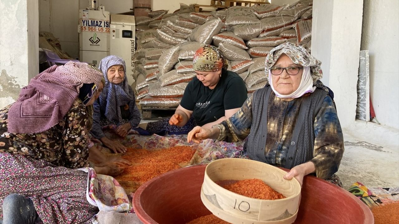 90 Yaşındaki 3 Arkadaşın Uzun Ömür Sırrı: Tarhana ve Dostluk