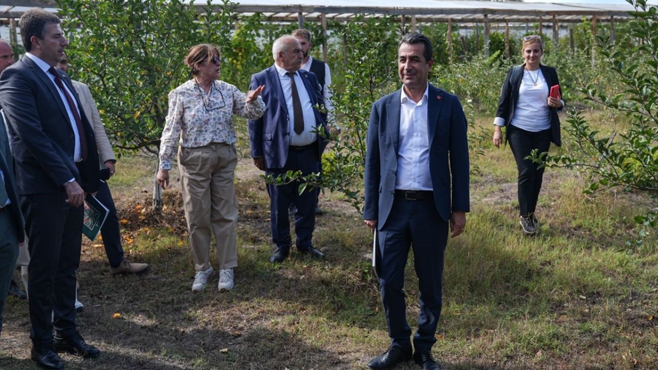 Çatalca'da Biyodinamik Tarımda Yeni Bir Dönem Başlıyor