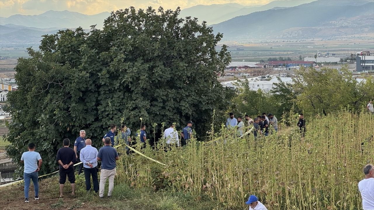 Kahramanmaraş'ta Yıldırım Çobanı Hayatından Etti