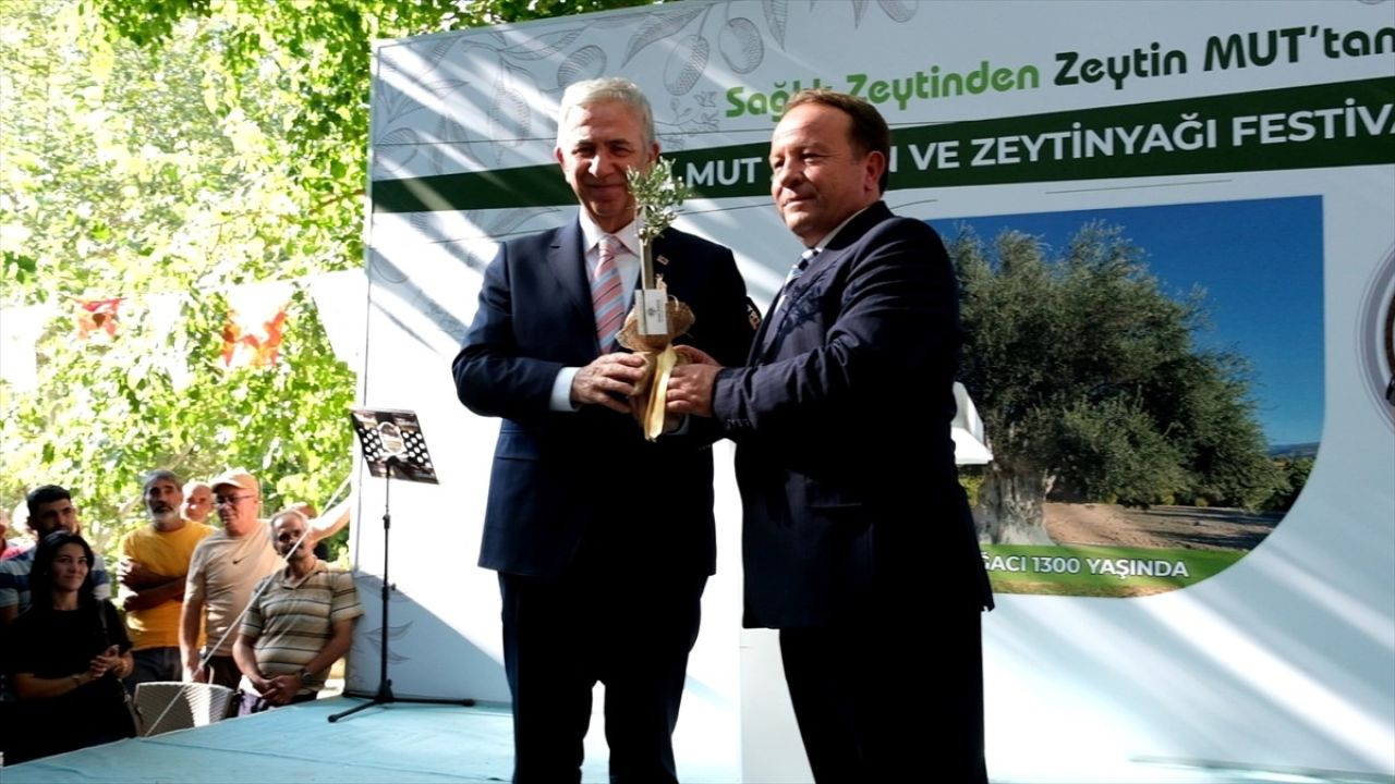 Mersin'de İlk Zeytin ve Zeytinyağı Festivali Coşkuyla Başladı