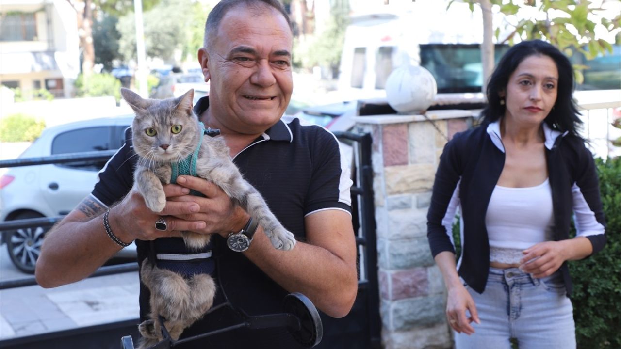 Denizli'de Hayvanseverden Felçli Kediye Özel Yürüteç