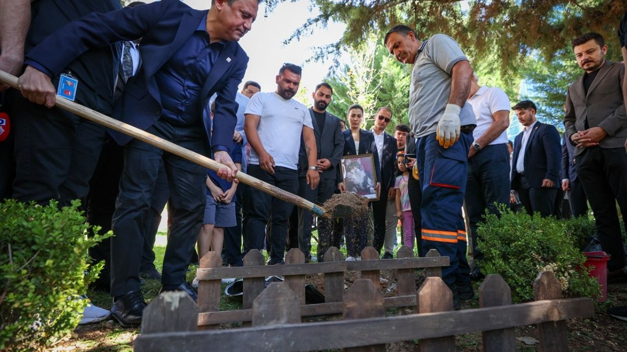 CHP'nin Kedisi Şero, Genel Merkez Bahçesine Defnedildi