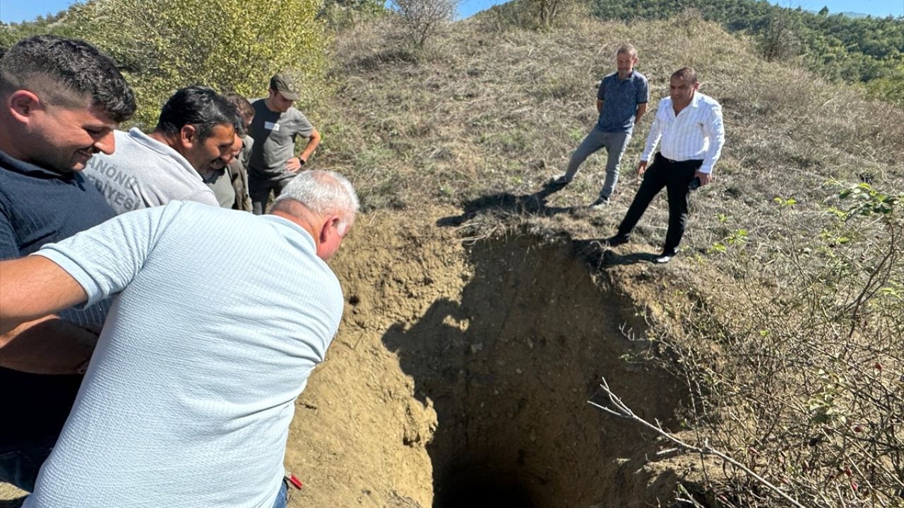 Kastamonu'da Çukura Düşen Ayı Kurtarıldı