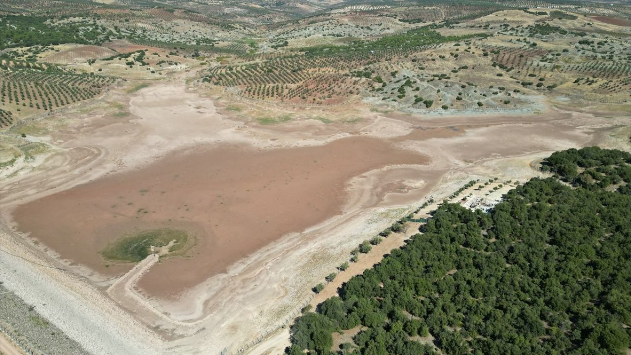 Kilis'teki Gölet Kuruması Balık Ölümlerine Neden Oldu