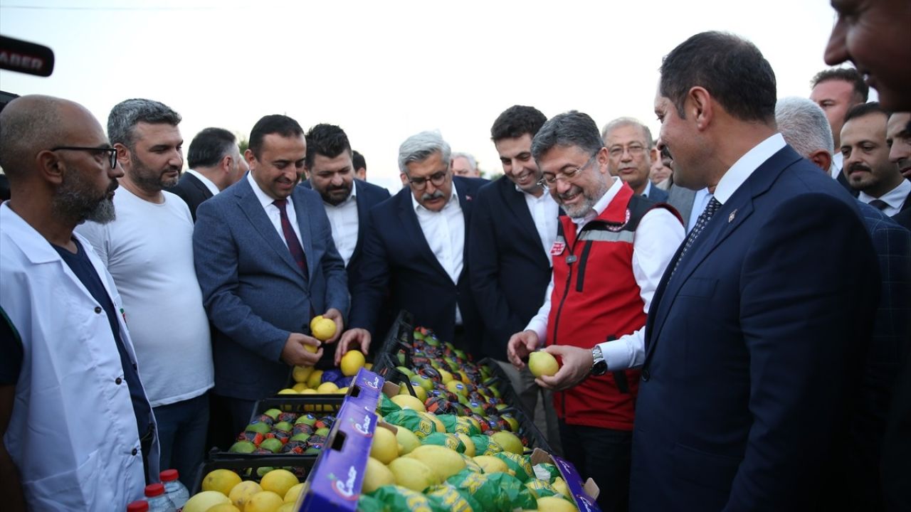 Bakan Yumaklı, Hatay'da Narenciye Hasadına Katıldı