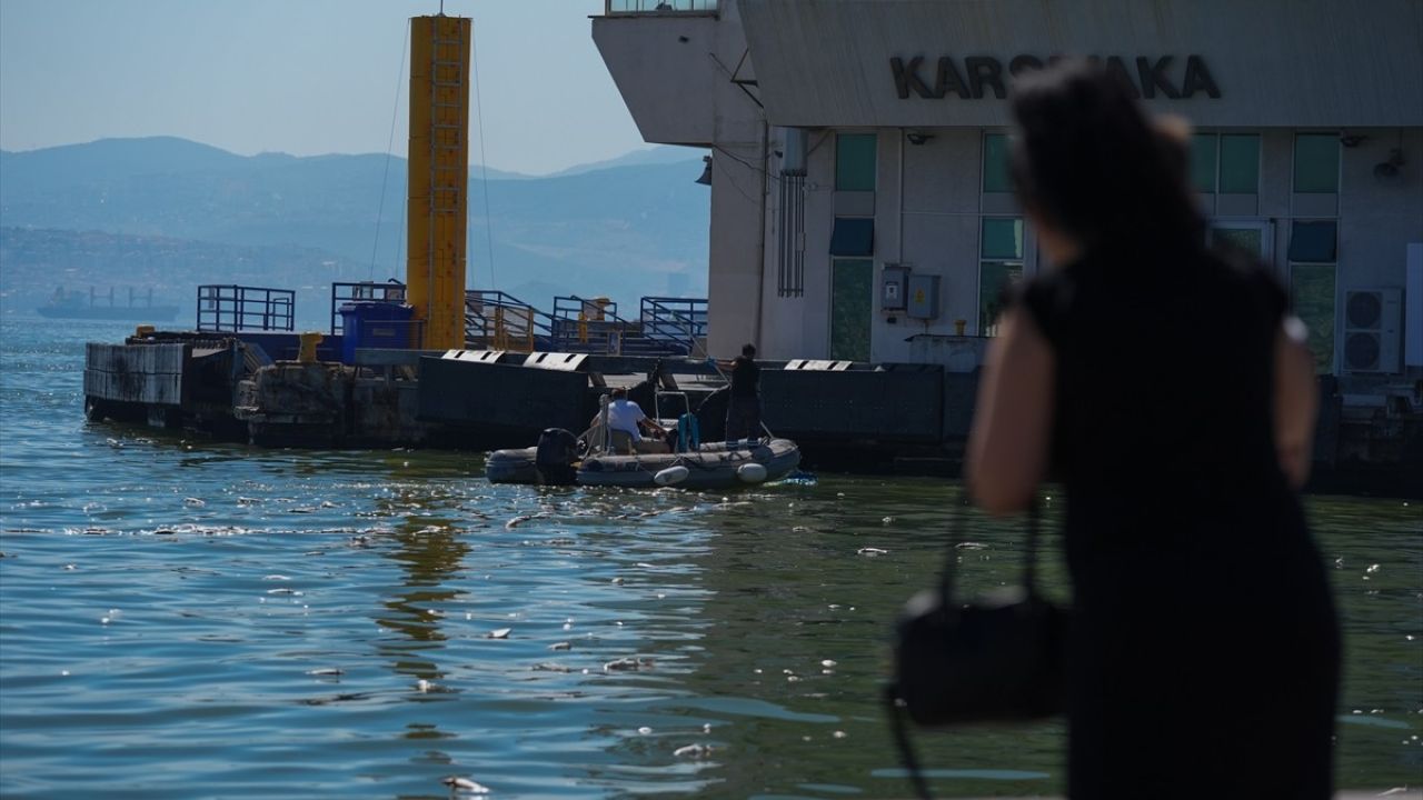 İzmir Körfezi'nde Balık Ölümleri Devam Ediyor