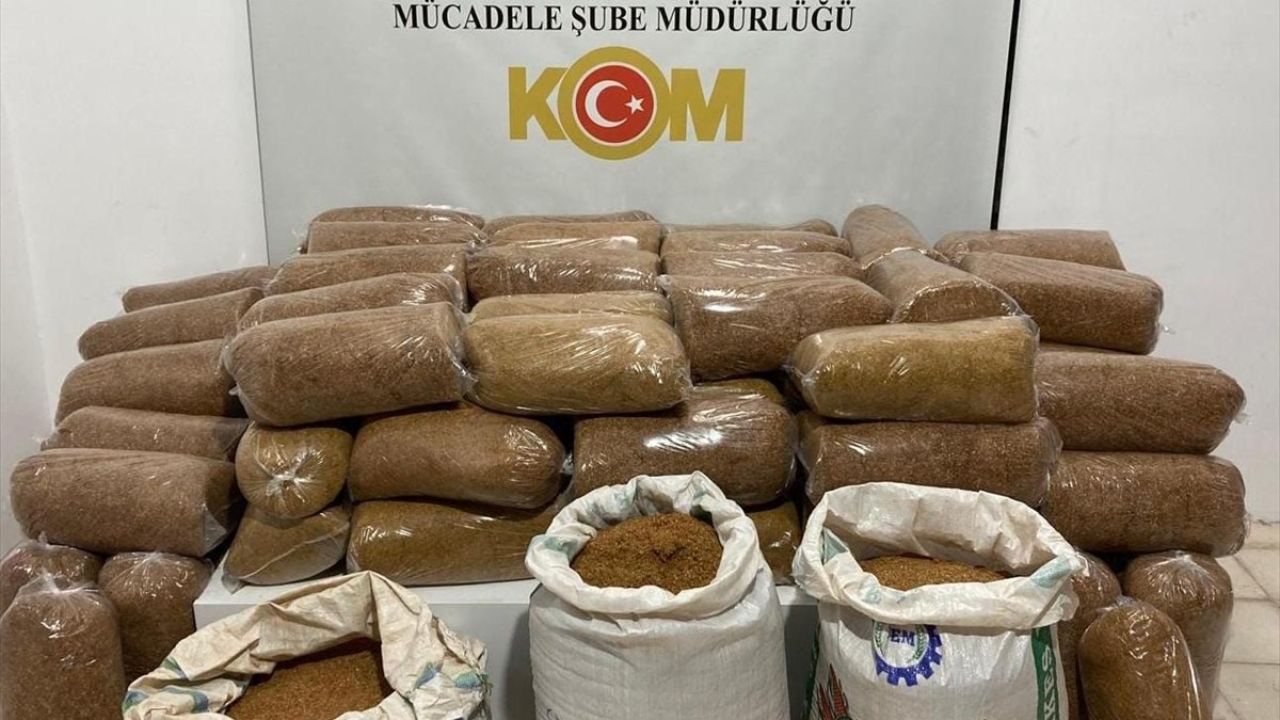 Samsun'da 435 Kilogram Kaçak Tütün Operasyonu